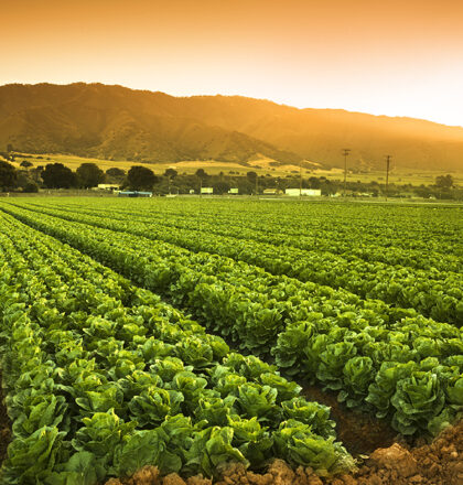 agriculture agriculture